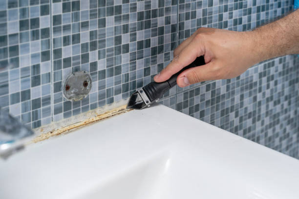 Best Local Mold Removal Service  in Holiday Shores, IL